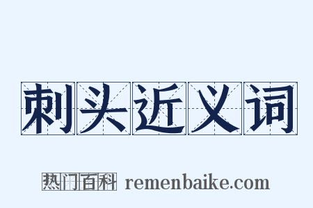 刺头近义词是什么意思的图片